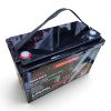 Літій залізо фосфатний акумулятор Vitals ALFP-12100ab