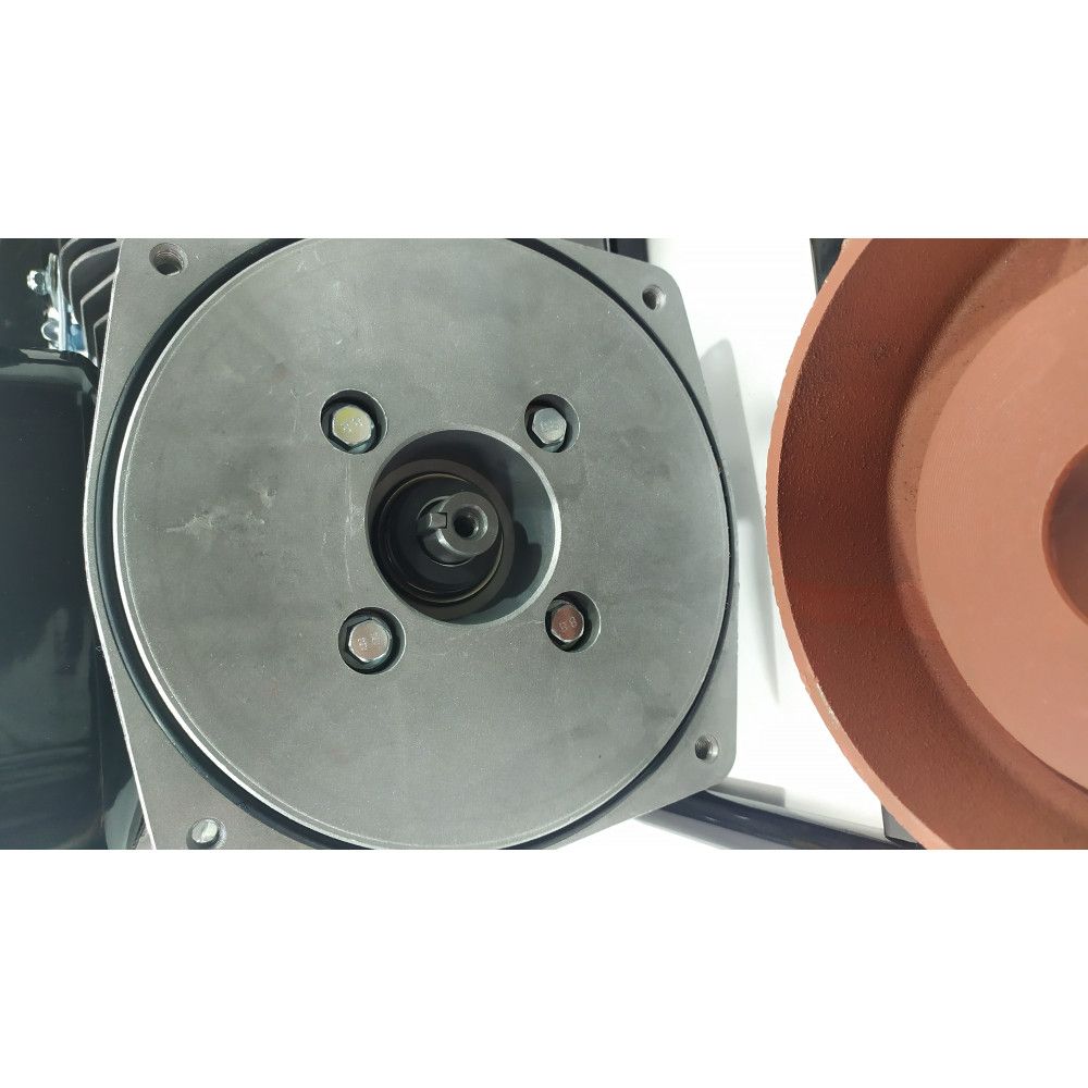 Мотопомпа бензинова Edon WP-50 50 мм