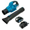 Повітродувка акумуляторна PROFI-TEC PLB5020BL POWERLine 4.0 Аг 1шт