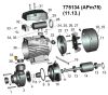 Насос вихровий 0.75 кВт LEO 3.0 APm75