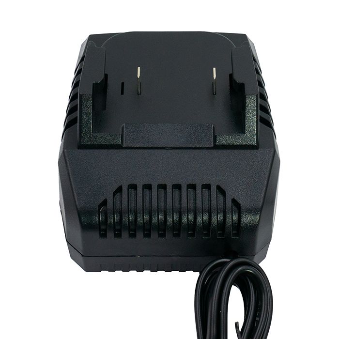 Зарядний пристрій PROFI-TEC BCD201V
