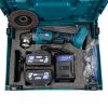 Болгарка акумуляторна 125мм PROFI-TEC PGA202BL POWERLine 4,0а 2шт