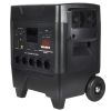 Зарядная станция Vitals Professional PS 3600qc 4300Вт ecoflow 4,3 кВт