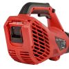 Повітродувка акумуляторна Vitals Master ALP 1850n BL