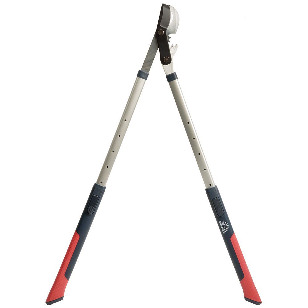 Гілкоріз телескопічний Vitals Professional LS-930-01T